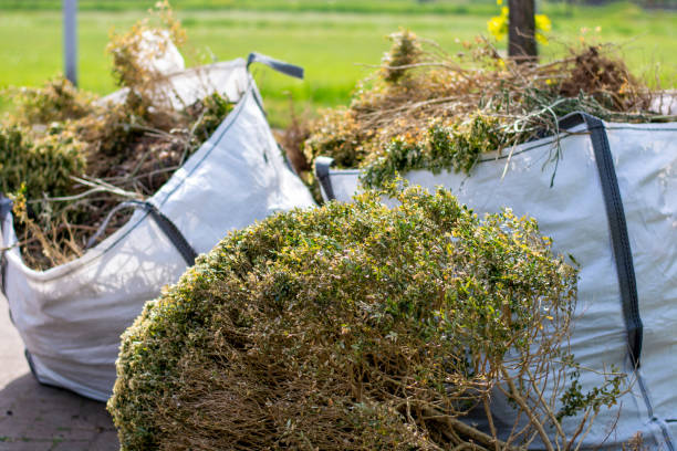 Best Hoarding Cleanup  in Beaverton, MI